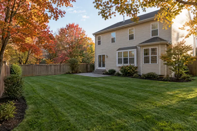 After: the same backyard with every leaf cleared, the lawn mowed and the beds along the house clean
