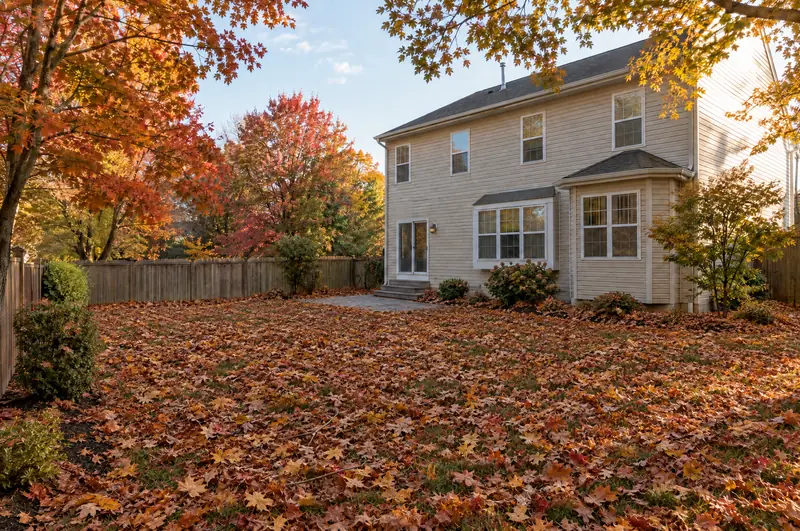 Before: a fenced backyard in autumn with the whole lawn buried under fallen orange and brown leaves